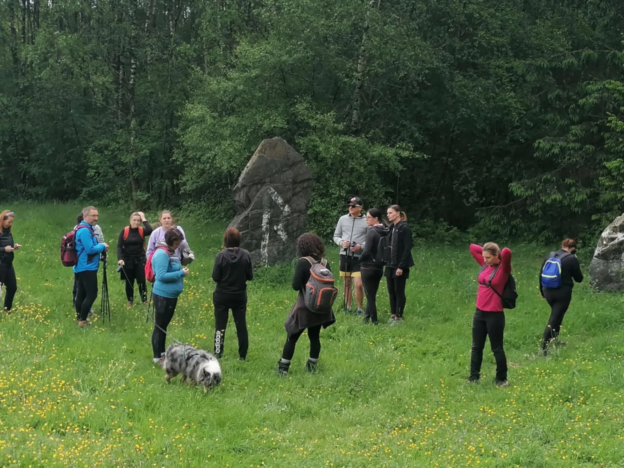 Programme de reprise de course en grand